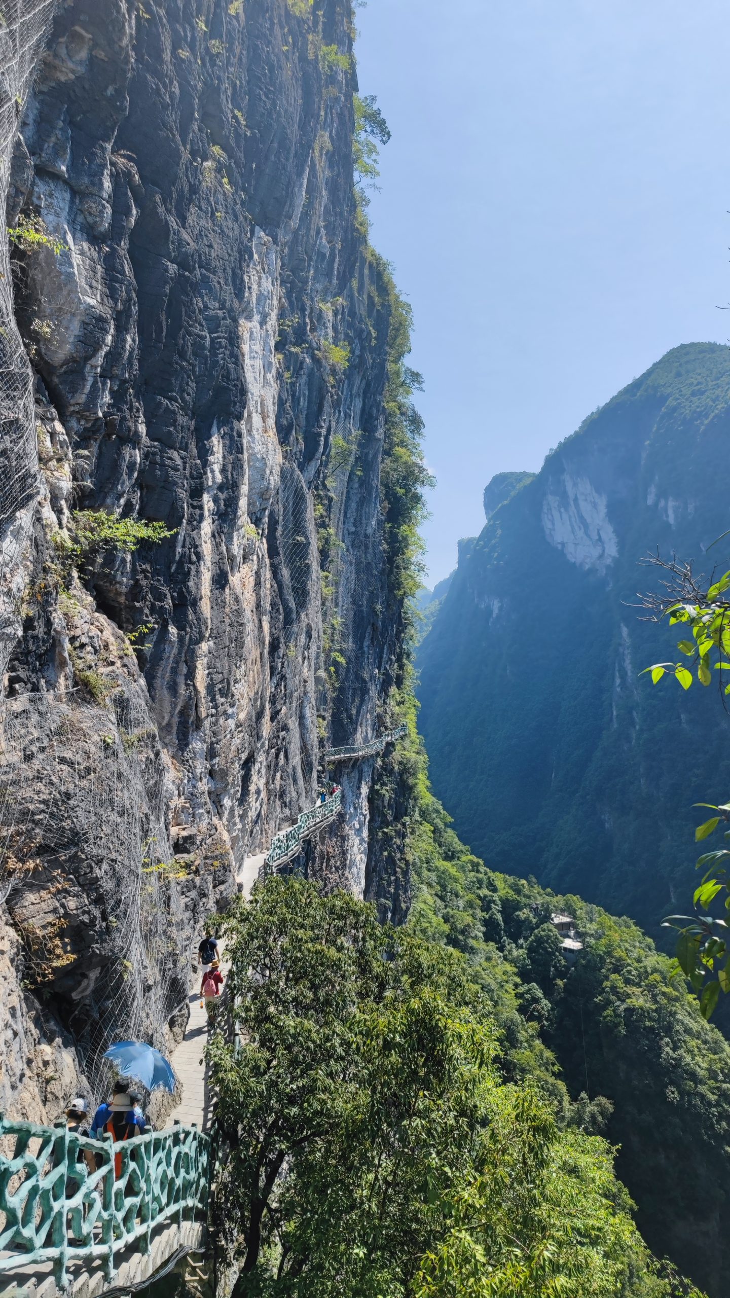 屏山大峡谷