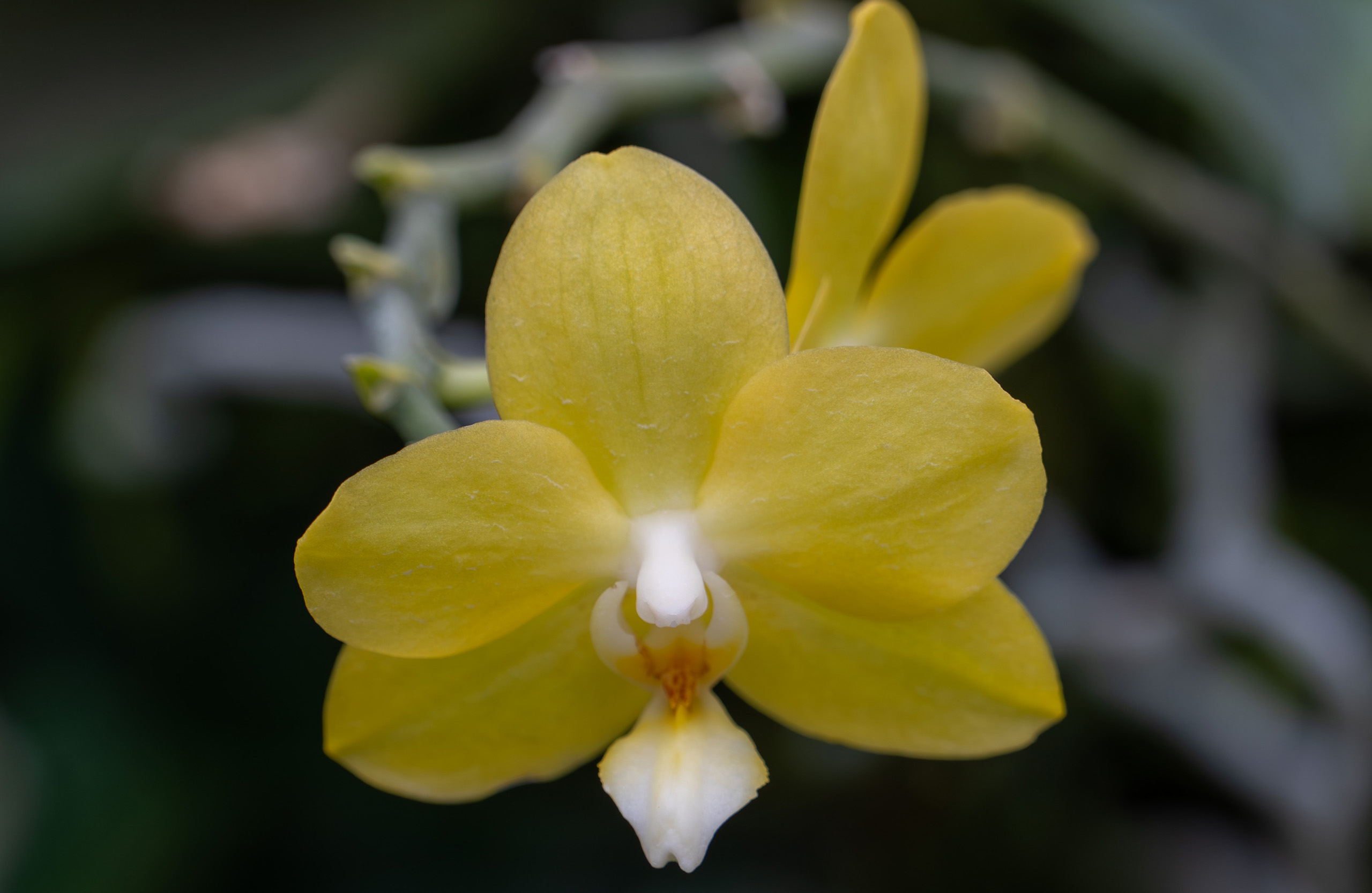图片61